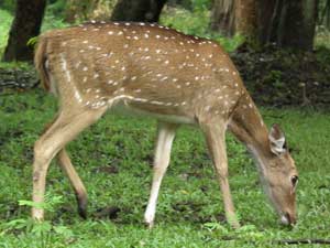 Trip from Bangalore